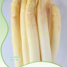 Fresh 20 Seeds/Pack White Asparagus SeedSpring Vegetables Sparrowgrass