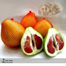 Fresh Red Grapefruit Citrus maxima Hybrid Seeds 10 Seeds/Pack Tasty Yuzu