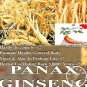 Fresh Chinese Ginseng Panax ginseng flores Potted Seeds