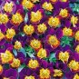 Fresh Rare Yellow Purple Pansy Flowers 20 Seeds handy garden bonsai plants E3698