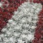 Fresh Senecio cineraria Silver Dusty Miller s 20 seeds mosquito repellent grass