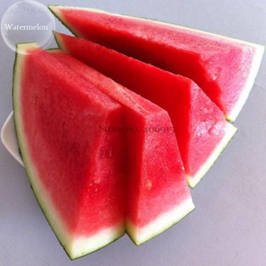 Fresh Dark Green Seedless Watermelon Red Inside Fruits 5 seeds sweet juicy tasty ing