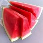 Fresh Dark Green Seedless Watermelon Red Inside Fruits 5 seeds sweet juicy tasty ing