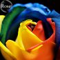 Fresh Colorful Rainbow Rose Valentine Lover Flower 50 Seeds light fragrant flowers