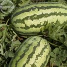 Fresh Jubilee Red Mushy Big Sweet Watermelon 20 Seeds Sweet Red ly Striped Outside