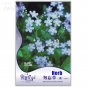 Fresh Blue Myosotis Sylvatica Forget me Flower Seeds Original pack 60 Seeds IWSF017