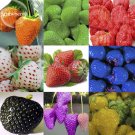 Fresh Mixed 9 Types of Delicious Strawberry Seeds 100 seeds Vegetables Fruit Seed
