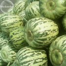 Fresh Green Muskmelon Sweet Melon 20 Seeds S and Striped Cucumis Melo Sweet Fruit