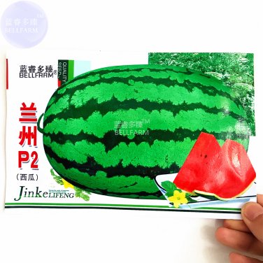 Fresh Lanzhou P2 Big Green Watermelon Seeds 70 Seeds juicy 12% sugar contained