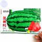 Fresh Lanzhou P2 Big Green Watermelon Seeds 70 Seeds juicy 12% sugar contained