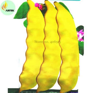Fresh Roma I Yellow Bean Seeds 15 Seeds tasty edible vegetables and oil used