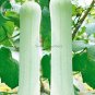 Fresh Heirloom White Jade Luffa Vegetables 8 seeds snake gourd loofah E3821