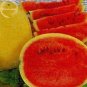 Fresh Golden Midget Small Watermelon 10 seeds yellow skin melon with red meat E3833