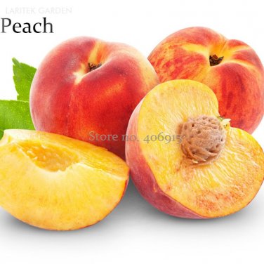 Fresh Sweet Juicy Peach Tree 2 Seeds garden plant organic fruits E3857
