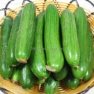 Fresh Fruits Cucumber Vegetables 20 Seeds healthy delicious eaten raw cucumbers