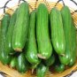 Fresh Fruits Cucumber Vegetables 20 Seeds healthy delicious eaten raw cucumbers
