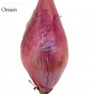 Fresh Long Red Florence Onion Vegetables Seeds 50 Seeds nutrition and healthy