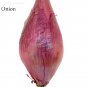 Fresh Long Red Florence Onion Vegetables Seeds 50 Seeds nutrition and healthy
