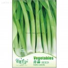 Fresh Chinese Green Leek Vegetables 50 Seeds/Pack late summer / autumn harvesting