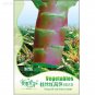 Fresh Red Skin Asparagus Lettuce Vegetables 30 Seeds/Pack dark green meat edible