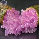 Fresh Imported Rose Pink Bliss Finger Lime Seeds 10 seeds professional pack a must
