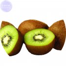 Fresh BELLFARM Kiwi Fruit Seeds 100 Seeds sweet juicy fruit