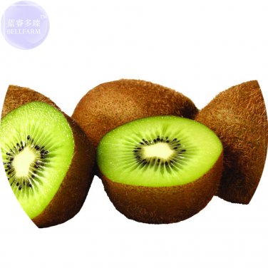 Fresh BELLFARM Kiwi Fruit Seeds 100 Seeds sweet juicy fruit