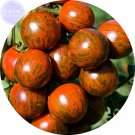 Fresh Trailing Tumbling Tomato Seeds 100 Seeds Brown Color