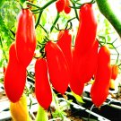 Fresh Red Bananas Tomatoes Seeds 100 Seeds Super Sweet Vegetables Semi Urban