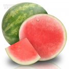 Fresh Watermelon seeds Pinkish Red Melon Seeds 20 Seeds 15% sugar contained