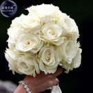 Fresh Rose Purely White European Flower Seeds 50 Seeds light fragrant flowermarry