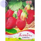 Fresh Giant Strawberry Oblate Red Fruit Seeds 40 Seeds Original pack sweet