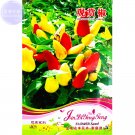 Fresh Pepper Yellow Red Colorful Pod Chilli Seeds 25 Seeds hot peper pring