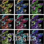 Fresh 300PCS Garden Potted Flytrap Seeds Dionaea Muscipula Mixed 9 Types