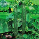 Fresh Cucumber Dark Green Crisp Barbed Vegetable Seeds 20 seeds long cucumber