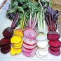 Fresh Beetroot Mixed Blood Yellow White Color Vegetable Seeds 50 seeds vegetables