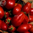 Fresh Tomato San Marzano Vegetable Seeds 1000 seeds dark red heirloom fruits