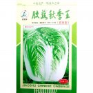 Fresh Chinese Cabbage Autumn Vegetables Seeds 10 grams hybrid F1 heat resistance