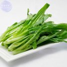 Fresh Romaine Lettuce (Lactuca L. var. longifolia) Vegetable 200 seeds