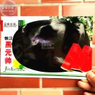 Fresh Watermelom Black Skin Red Big Melon Seeds 22 Seeds