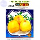 Fresh Tomato Yellow Skin Red Top Middle sized Fruit 200 seeds hybrid edible vegetables