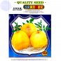Fresh Tomato Yellow Skin Red Top Middle sized Fruit 200 seeds hybrid edible vegetables
