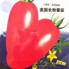 Fresh Tomato American Long Pink Fruit Vegetable Seeds 300 seeds juicy
