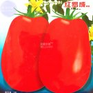 Fresh Tomato Bright Red Middle F1 Hybrid Seeds 300 seeds indeterminate growth