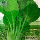 Fresh Green Chinese Vegetables Seeds 5 packs 2000 Seeds
