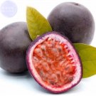 Fresh Passion Fruit Passiflora edulis Fruit Seeds 20 seeds juicy edible supply