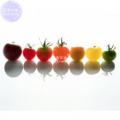Fresh Mixed 10 Varieties of Colorful Cherry Tomato Seeds 10 packs (100 Seeds) fruits
