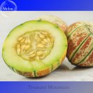 Fresh Kajari Sweet Melon Fruit 10 Seeds