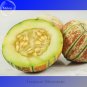 Fresh Kajari Sweet Melon Fruit 10 Seeds