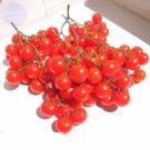 Fresh Riesentraube Cherry Tomato 100 seeds infinite growth bright red smooth cherry